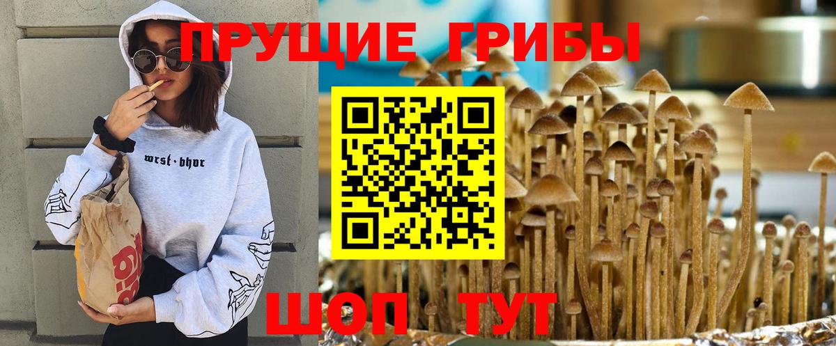Галлюциногенные грибы GOLDEN TEACHER  Вход с VPN  Магадан 